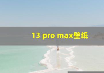 13 pro max壁纸